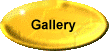 Picture Gallery